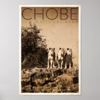 Vintage Chobe National Park Travel Poster