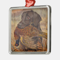 Vintage Chocolate Lab-jakt