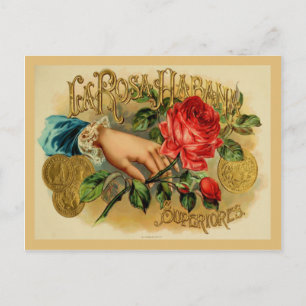 Vintage Cigar Box-etikett Vykort