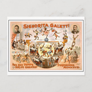 Vintage Circus Performing Monkey Vykort