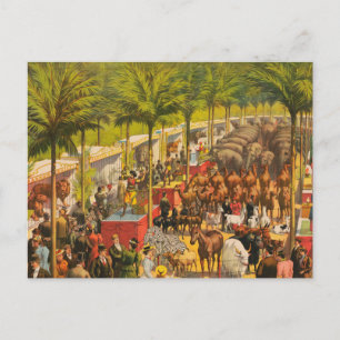 Vintage Circus Poster av djur och utförare Vykort