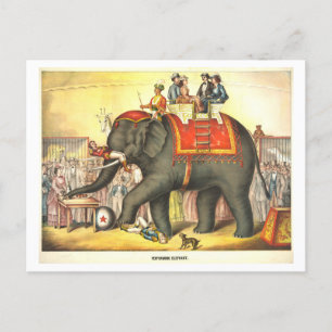 Vintage Circus Poster för att utföra elefant Vykort