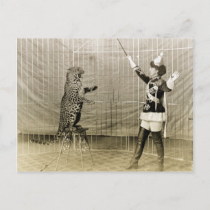 Vintage Circus Trainer Vykort