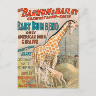 Vintage : cirkus Barnum & Bailey - Vykort