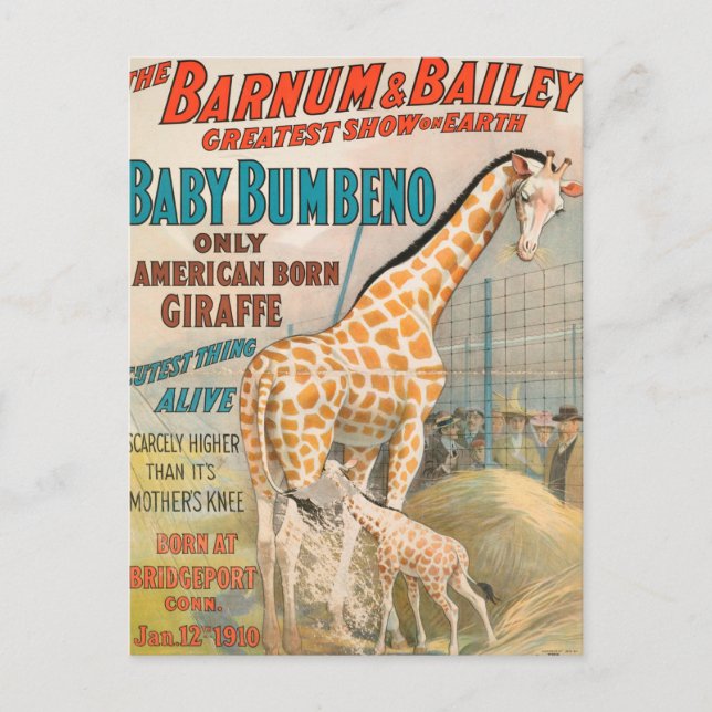 Vintage : cirkus Barnum & Bailey - Vykort (Framsida)