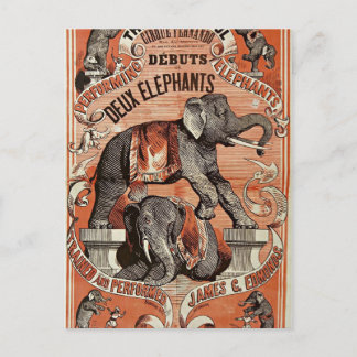 vintage cirkus elefant show vykort