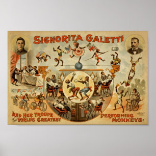 Vintage Cirkus och Poster
