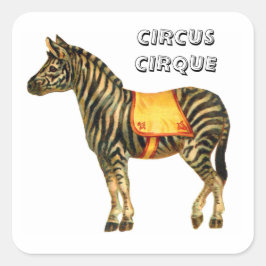 Vintage cirkus som utför zebra fyrkantigt klistermärke