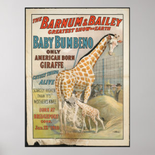 Vintage: Cirus Barnum & Bailey - Poster