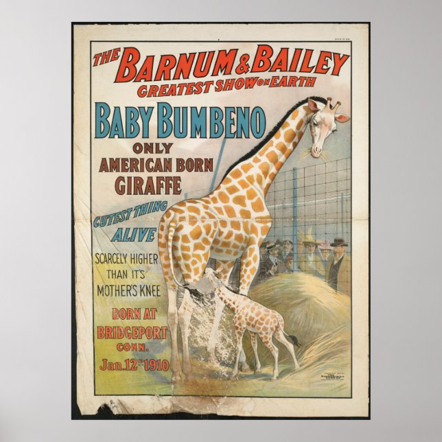 Vintage: Cirus Barnum & Bailey - Poster (Framsidan)