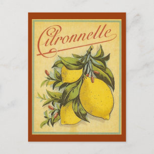 Vintage Citronnelle Ad Vykort