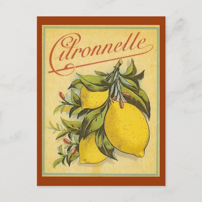 Vintage Citronnelle Ad Vykort (Framsida)