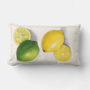 Vintage Citrus Lumbarkudde