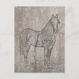 Vintage Civil Krig Union Horse Postcard Vykort
