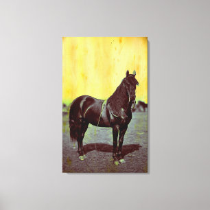 Vintage Civil Krig Union Horse Wrapped Canvas Skri