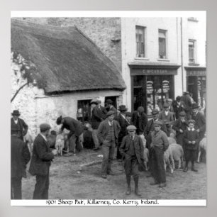 Vintage Co. Kerry Irland, Killarney fårmässa Poster