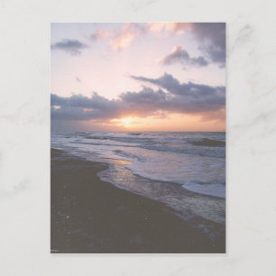 Vintage Coastal South Carolina Vykort