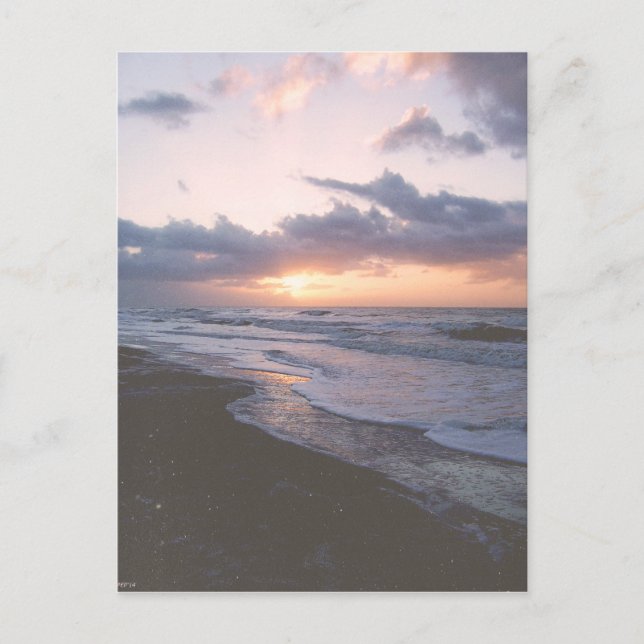Vintage Coastal South Carolina Vykort (Framsida)