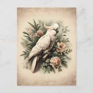 Vintage Cockatoo Botanical Painting Vykort
