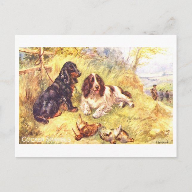 Vintage Cocker Spaniels Vykort (Framsida)