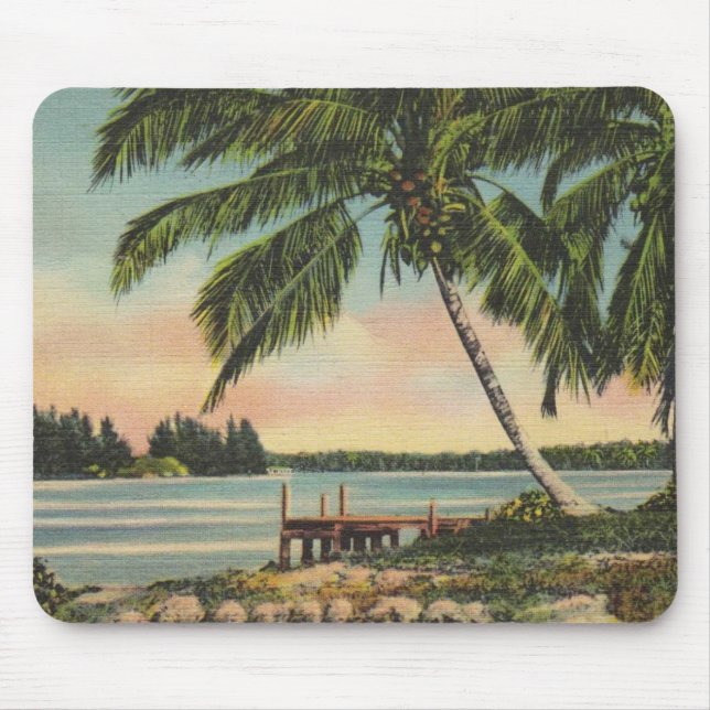 Vintage coconut handflatan musmatta (Framsidan)