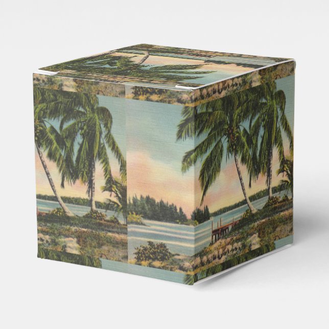 Vintage Coconut Handflatan Tropical Breeze Sunset Presentaskar (Framsidan Sidan)