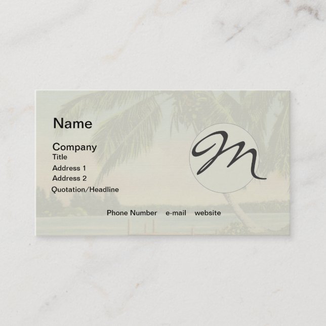 Vintage Coconut Handflatan Tropical Breeze Sunset Visitkort (Framsida)
