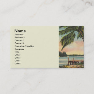Vintage Coconut Handflatan Tropical Breeze Sunset Visitkort