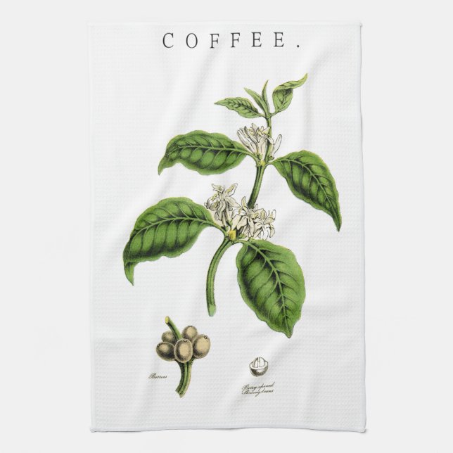Vintage Coffee Plant Illustration Kökshandduk (Vertikal)