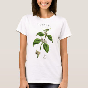Vintage Coffee Plant Illustration Tee