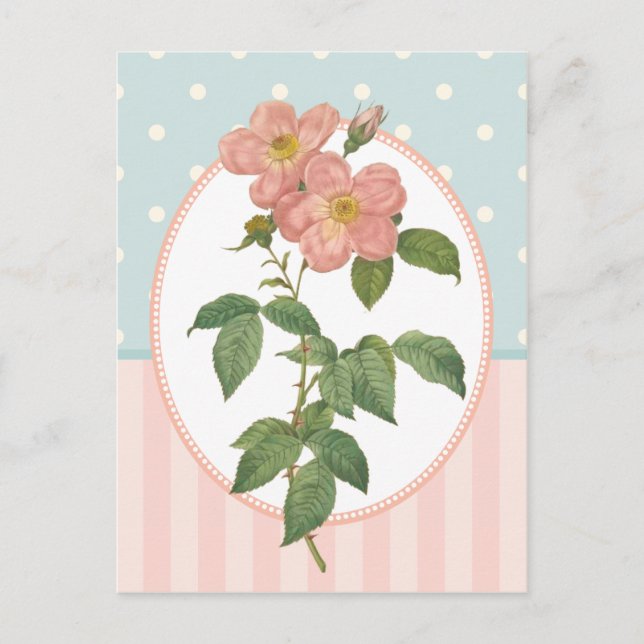 Vintage Collage Rosa ros Botanical Print Vykort (Framsida)