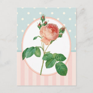 Vintage Collage Rosa ros Botanical Print Vykort