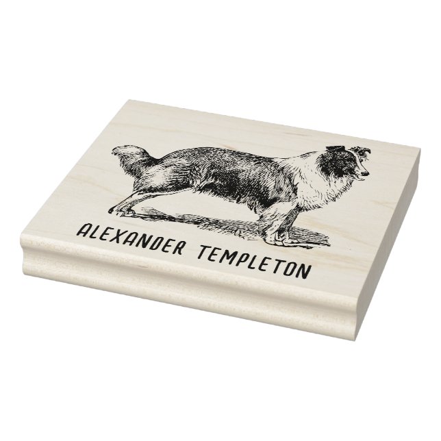 Vintage Collie Hund Ritning Namn Stämpel (Stämpel)