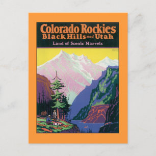 Vintage Colorado Black Backe Vykort