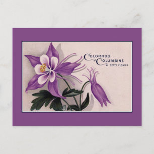 Vintage Colorado State-blomma, kolumbine Vykort