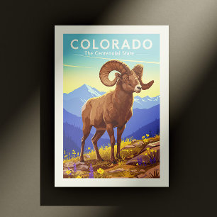 Vintage Colorado Vykort