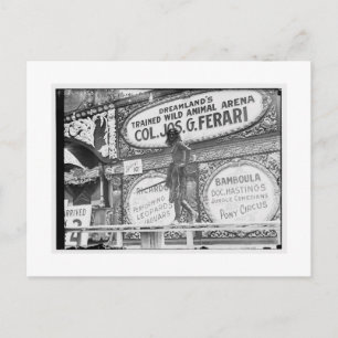 Vintage Coney Island, Dreamland Vykort