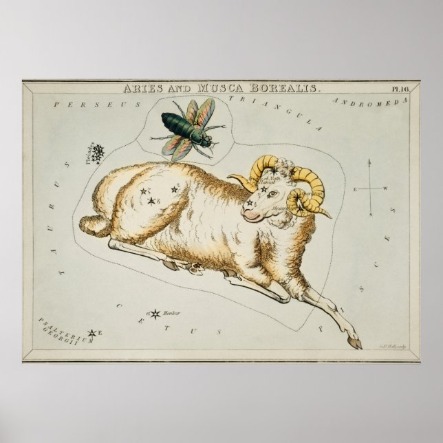 Vintage Constellation Illustration Poster (Framsidan)