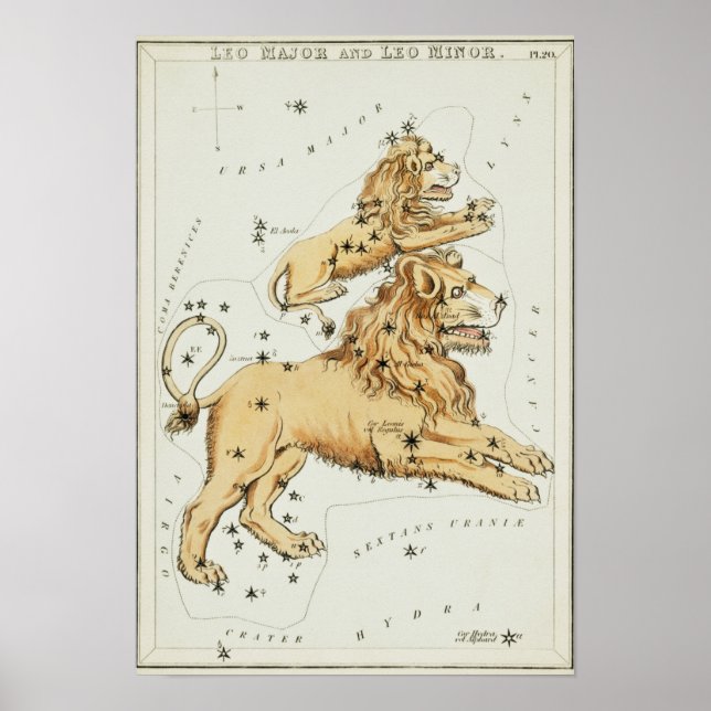 Vintage Constellation Illustration Poster (Framsidan)