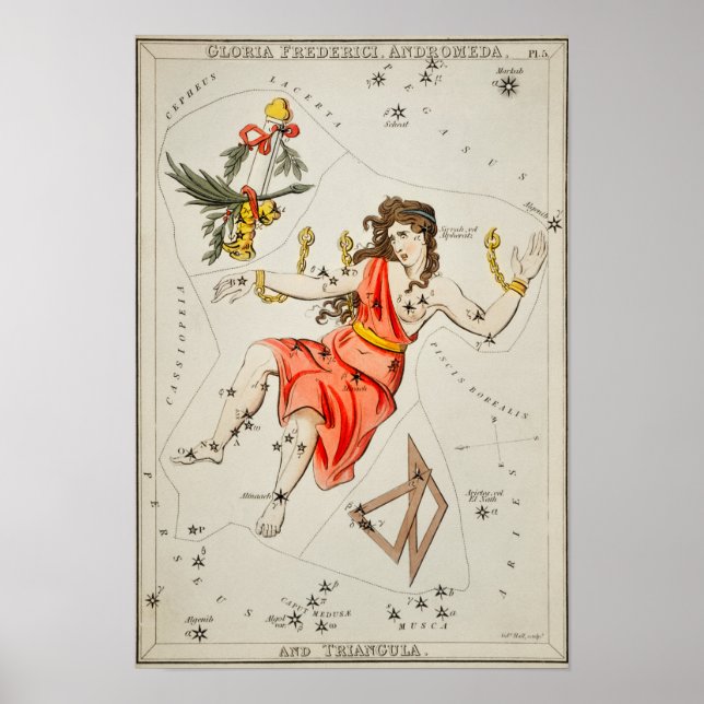 Vintage Constellation Illustration Poster (Framsidan)