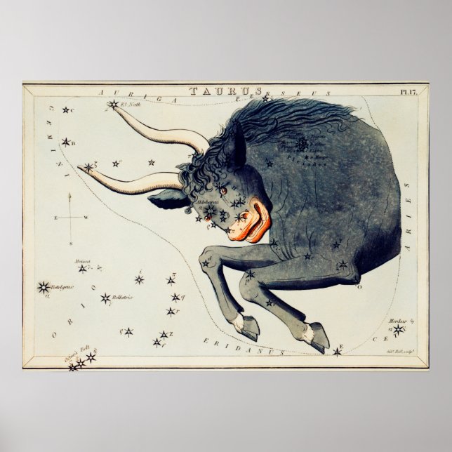 Vintage Constellation Illustration Poster (Framsidan)