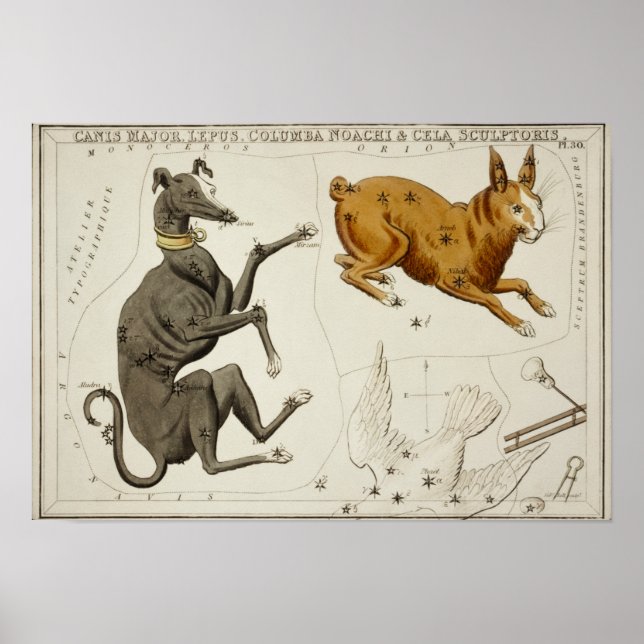 Vintage Constellation Illustration Poster (Framsidan)