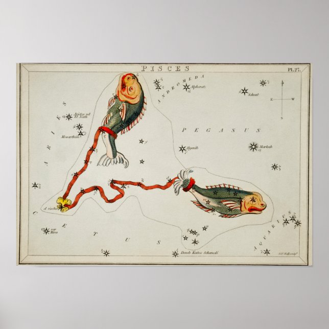 Vintage Constellation Illustration Poster (Framsidan)
