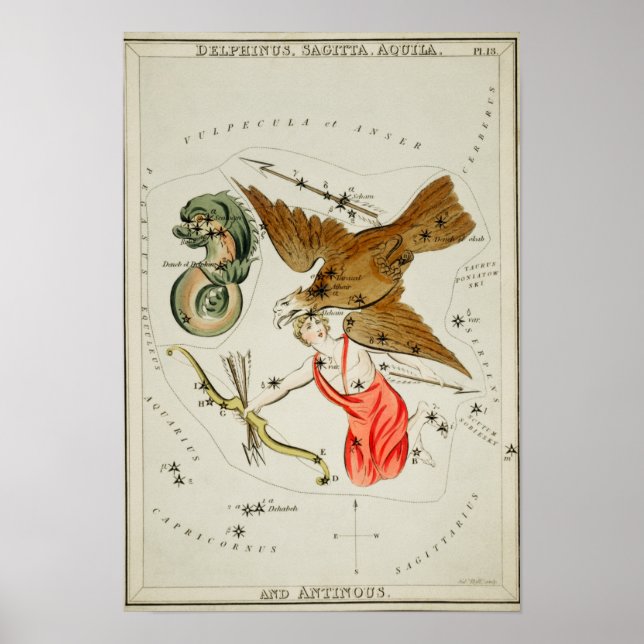 Vintage Constellation Illustration Poster (Framsidan)