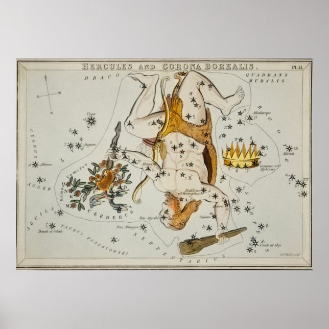 Vintage Constellation Illustration Poster (Framsidan)
