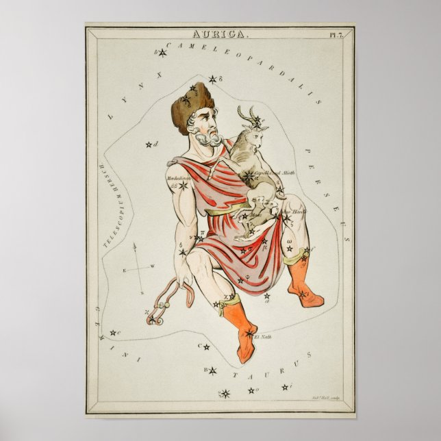 Vintage Constellation Illustration Poster (Framsidan)