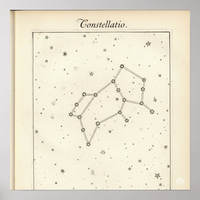 Vintage Constellation Illustration Poster (Framsidan)