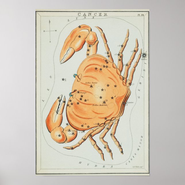 Vintage Constellation Illustration Poster (Framsidan)