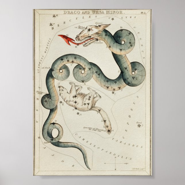 Vintage Constellation Illustration Poster (Framsidan)