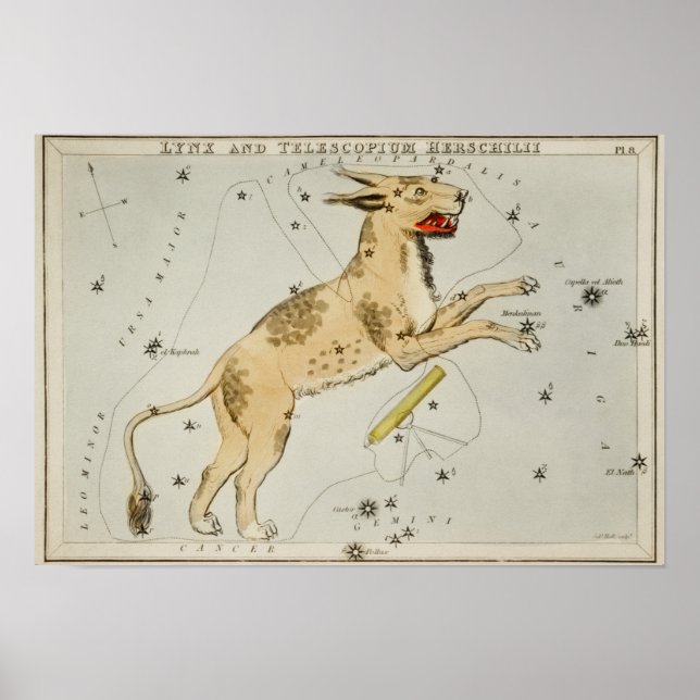 Vintage Constellation Illustration Poster (Framsidan)